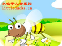 中文儿歌FLASH小蜜蜂