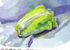 儿童水粉画大白菜的画法