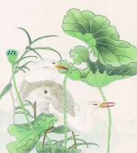国画欣赏国画花鸟之荷花