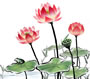 国画作品欣赏-国画荷花