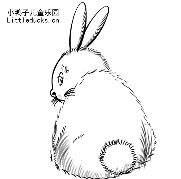 动物简笔画大全:小兔子简笔画