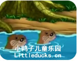 go diego go迪亚哥动画片:31送水獭回家