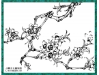 简笔画桃花大全,儿童简笔画花:桃花的简笔画(6