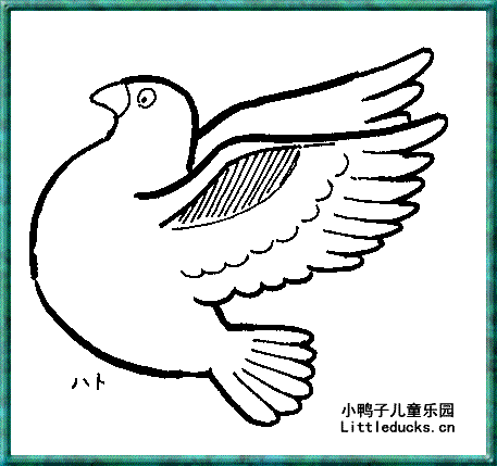 小动物简笔画:形态各异的鸽子简笔画