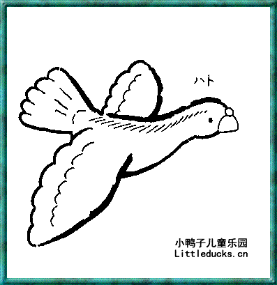 形态各异的鸽子简笔画3