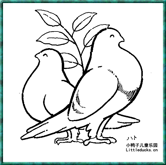 形态各异的鸽子简笔画8