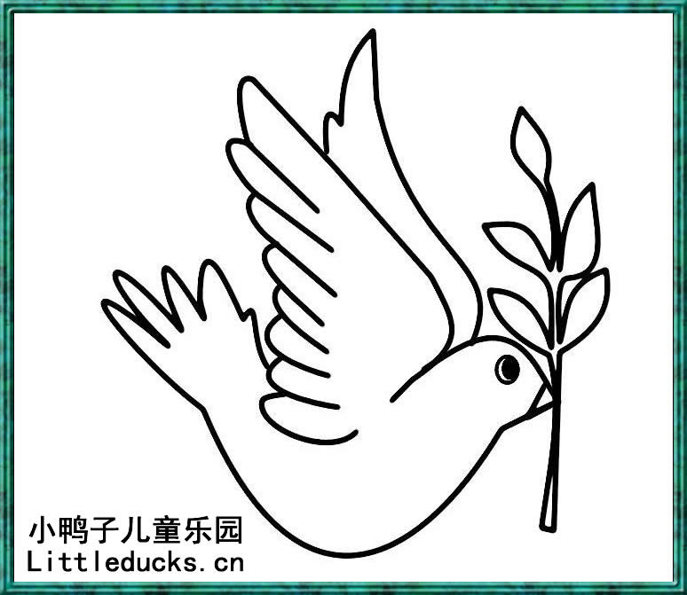 鸽子的简笔画十九
