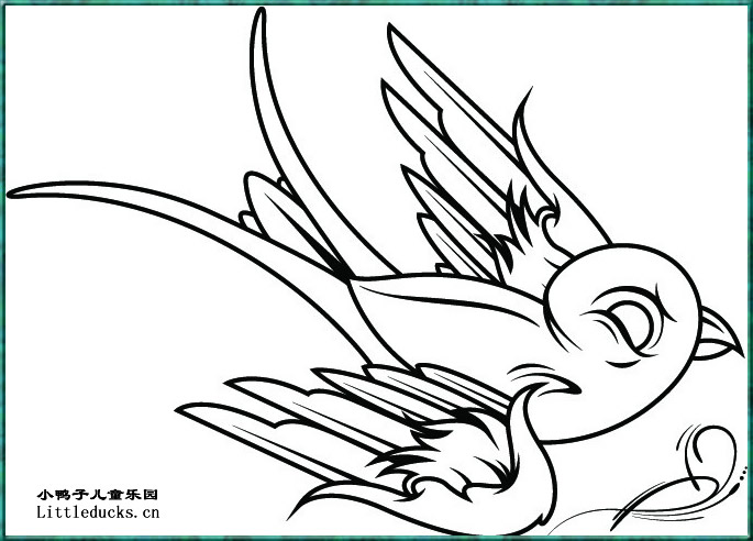 动物简笔画:小鸟简笔画4