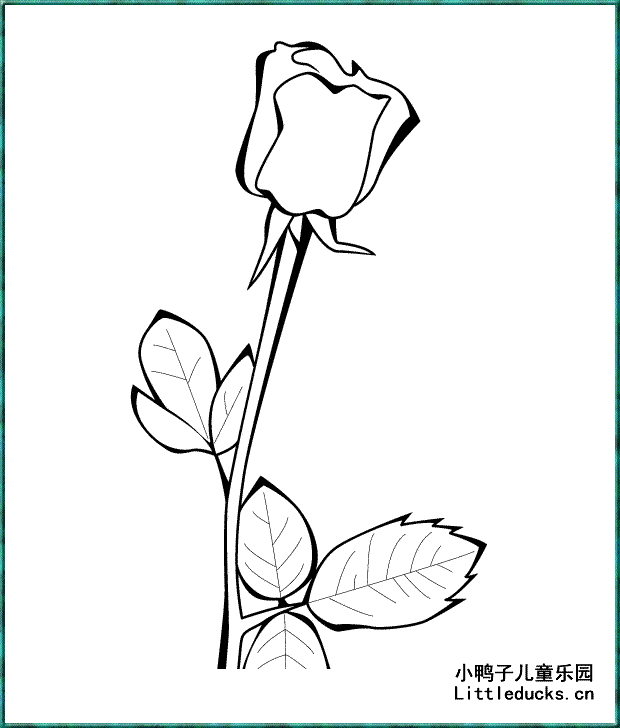 玫瑰花的简笔画三