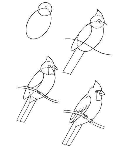 小动物简笔画鹦鹉简笔画教程