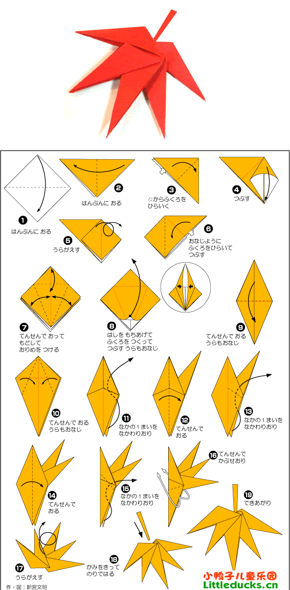 幼儿折纸大全:枫叶的折叠方法