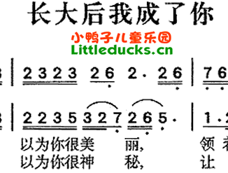 歌曲长大后我就成了你简