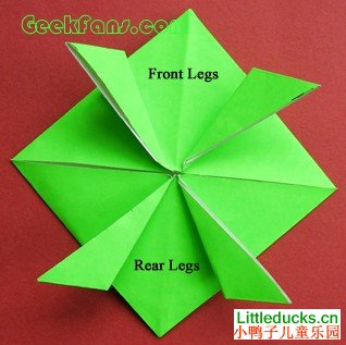 动物折纸大全:会跳的青蛙的折纸方法
