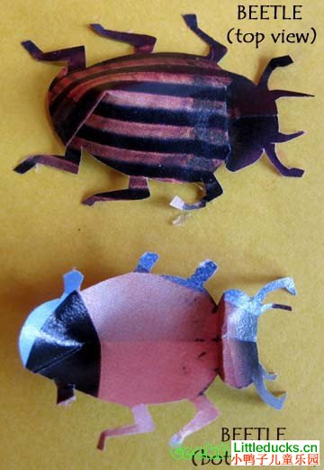 儿童剪纸大全:剪纸甲虫的方法