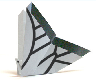 动物折纸大全:黑凤蝶的折纸方