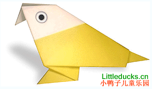 动物折纸大全:鹦鹉的折纸方法