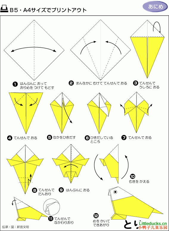 动物折纸大全:鹦鹉的折纸方法