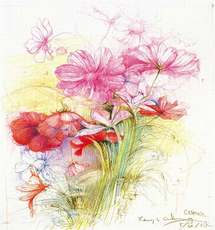 彩色铅笔画图片小雏菊