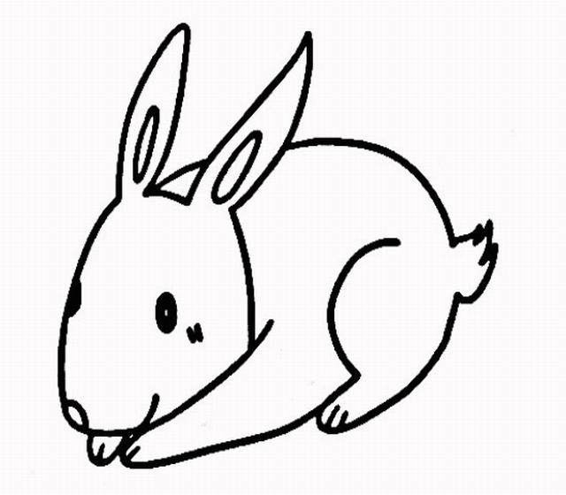 小白兔简笔画画法四