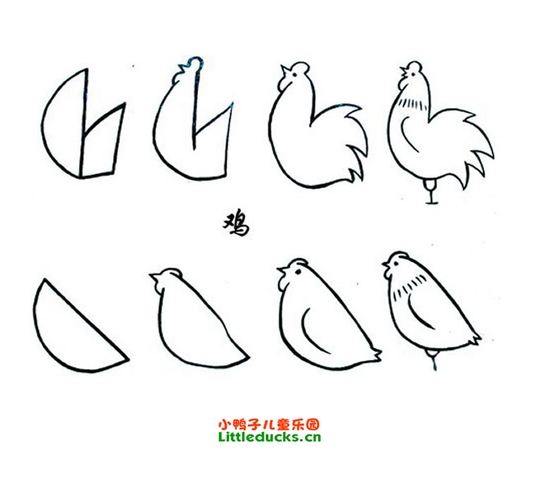 儿童简笔画教程:简笔画鸡的画法