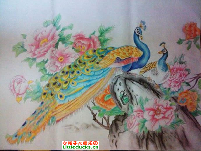 彩色铅笔画图片大全:花中孔雀