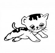 可爱的小猫的简笔画图片