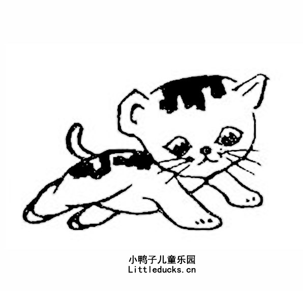 小猫的简笔画图片