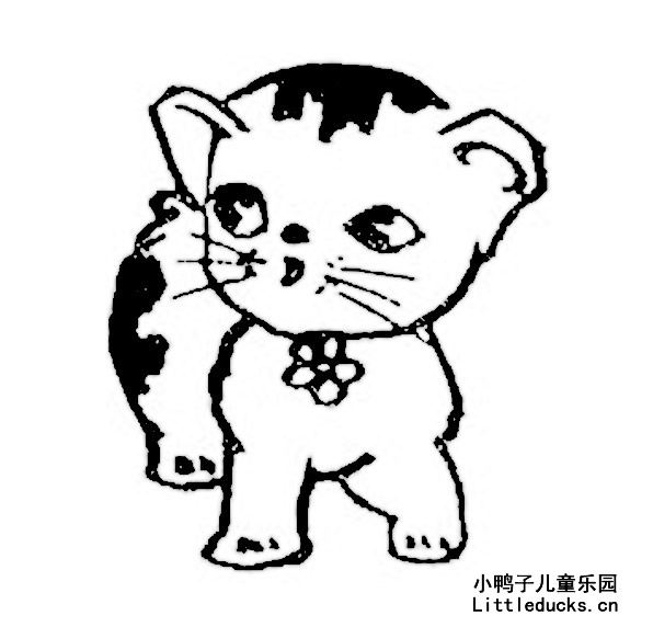 小猫的简笔画图片