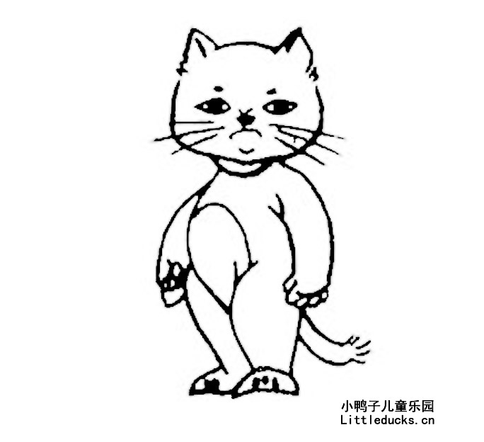 小猫的简笔画图片