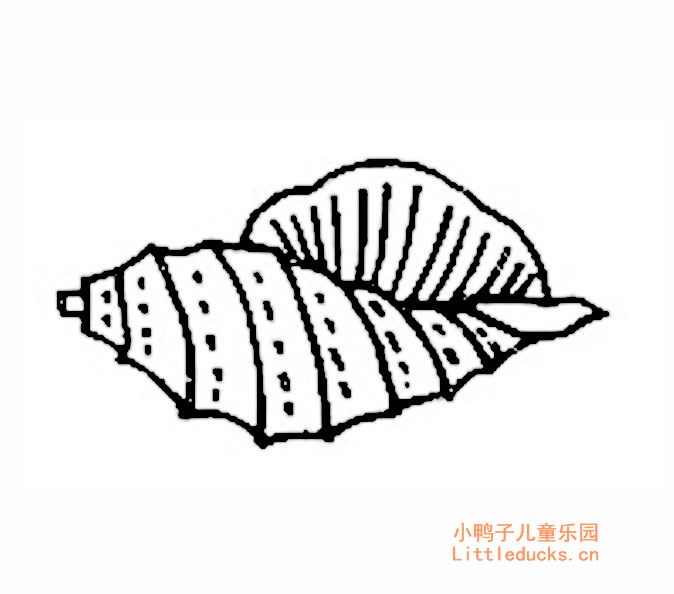 小动物简笔画图片大全:海螺简笔画六