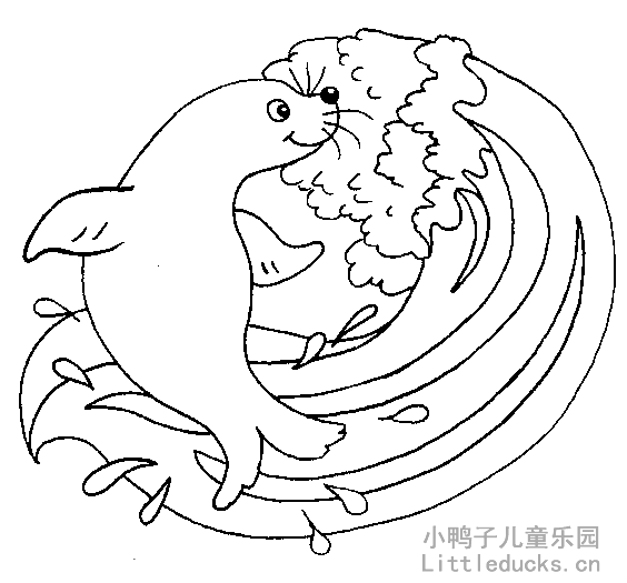 海豹的简笔画图片大全