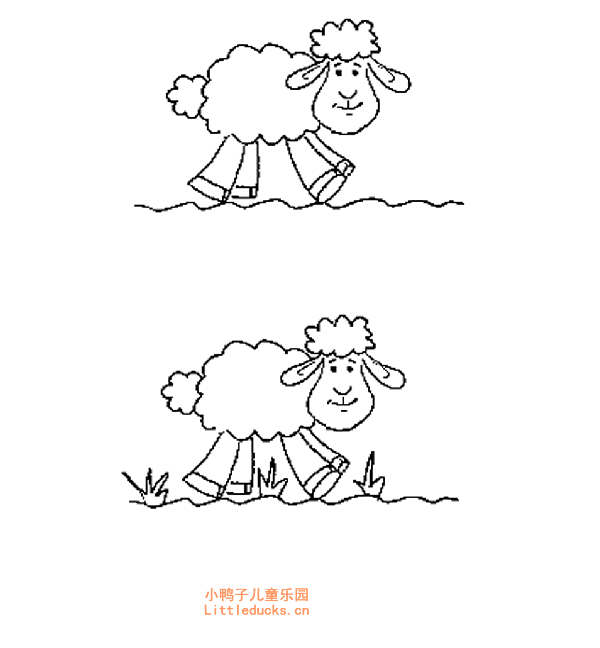 小绵羊简笔画画法三