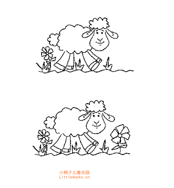 小绵羊简笔画画法四
