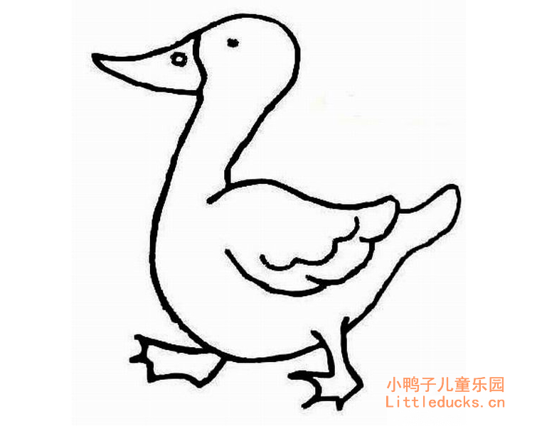 小动物简笔画图片大全:小鸭子简笔画(11)