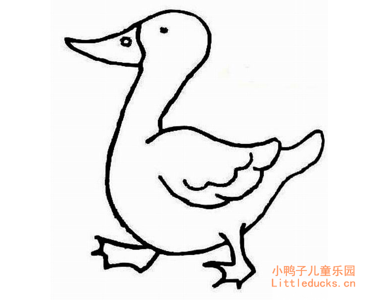 骄傲的小鸭子简笔画图片