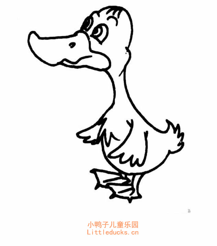 难过的小鸭子简笔画图片