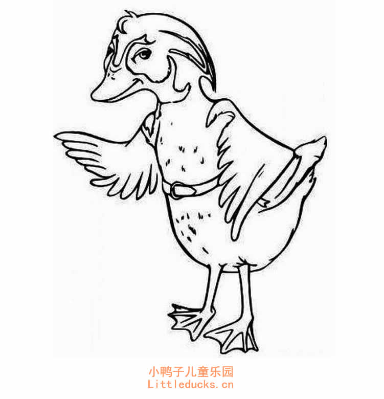 无语的小鸭子简笔画图片