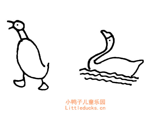 简单的小鸭子简笔画图片