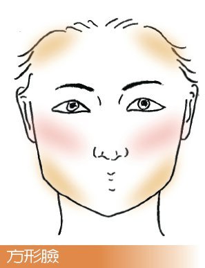人物头像简笔画图片:人的不同脸型(2)