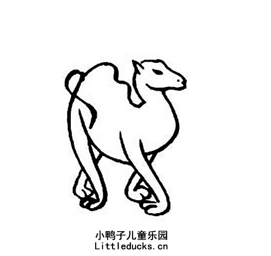 骆驼简笔画图片大全八