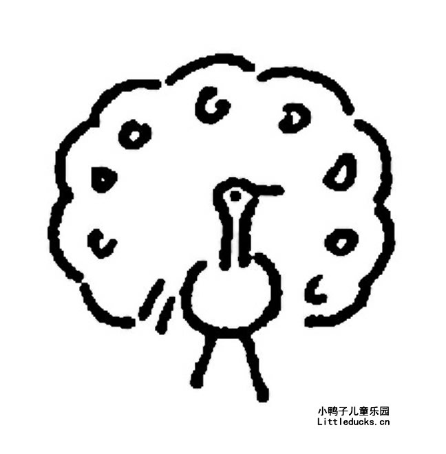 孔雀开屏简笔画二