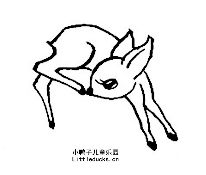 可爱的小鹿简笔画图片大全三