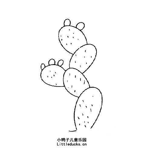 仙人掌的简笔画图片4