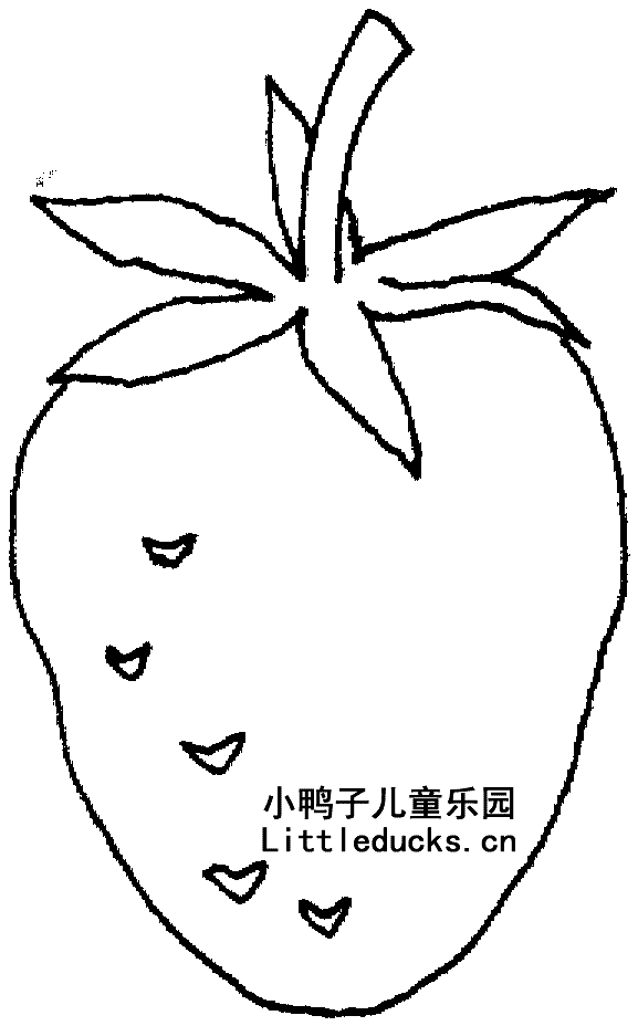 草莓的简笔画图片21