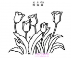 简笔画花郁金香,郁金香花简笔画图片大全-简笔