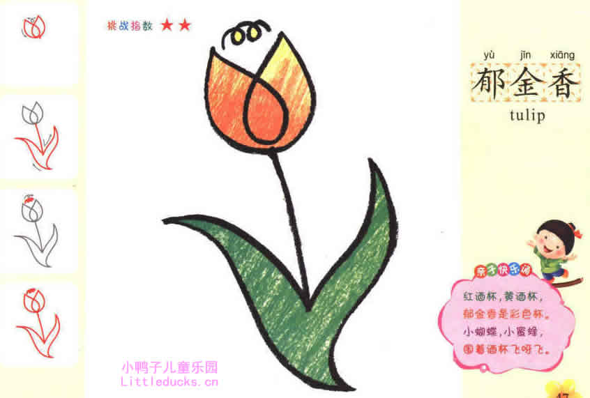 彩色郁金香花简笔画图片2