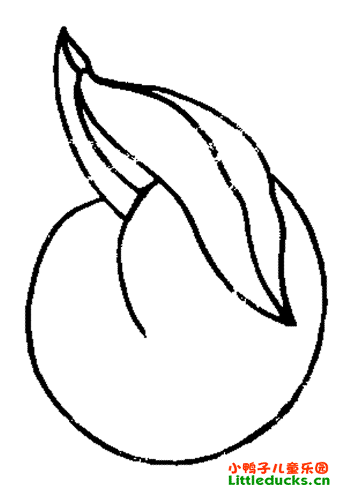 桃子的简笔画图片大全8