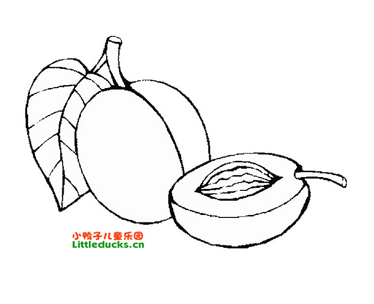 ӵ ʻ ͼƬȫ()- ʻ ˮ-СѼ