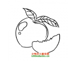 ӵļʻͼƬȫ