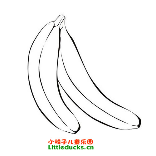 香蕉的简笔画图片11